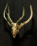 King - Deer Skull, Copper, Tasmanian Shells